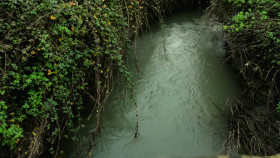 Panorama 2024 12 09 The Water Companys Murky Business 1080p HDTV H264-DEADPOOL EZTV