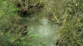 Panorama 2024 12 09 The Water Companys Murky Business 1080p WEBRip x264-CBFM EZTV