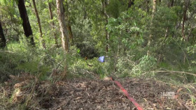 Paramedics S03E03 XviD-AFG EZTV