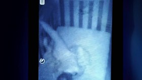 Paranormal Caught on Camera S02E08 Jinn on the Prowl 720p WEB x264-ESPRESSO EZTV