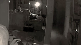 Paranormal Caught on Camera S04E22 Florida Dinosaur and More 1080p HEVC x265-MeGusta EZTV