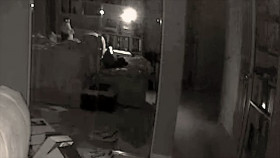 Paranormal Caught on Camera S04E22 Florida Dinosaur and More 720p HEVC x265-MeGusta EZTV