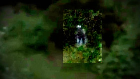 Paranormal Caught on Camera S07E01 1080p HEVC x265-MeGusta EZTV