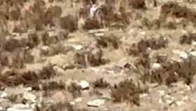 Paranormal Caught on Camera S07E02 1080p HEVC x265-MeGusta EZTV