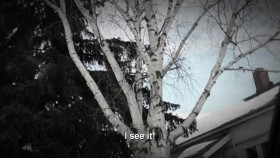 Paranormal Caught on Camera S08E02 1080p WEB h264-FREQUENCY EZTV