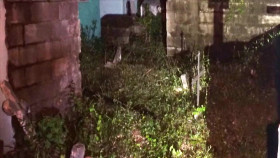 Paranormal Caught on Camera S08E04 1080p WEB h264-FREQUENCY EZTV