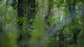 Patagonia Life On The Edge Of The World S01 1080p WEBRip x265 EZTV