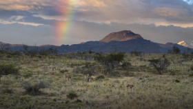 Patagonia Life on the Edge of the World S01E03 Mountains 1080p WEB h264-B2B EZTV