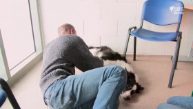 Paul O Grady For The Love Of Dogs S05E00 At Christmas XviD-AFG EZTV