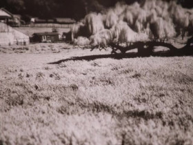 Pawn Stars S22E08 480p x264-mSD EZTV