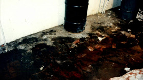 PD True S02E10 1080p WEB h264-EDITH EZTV