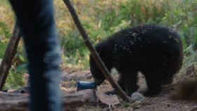 Penelope S01E03 Three 1080p NF WEB-DL DD 5 1 H 264-playWEB EZTV