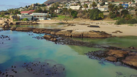 Penguin Town S01E05 1080p HEVC x265-MeGusta EZTV