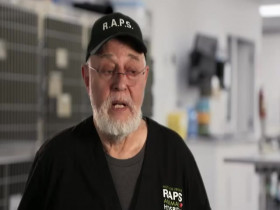 Pets and Pickers S03E01 480p x264-mSD EZTV