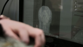 Pets and Pickers S03E02 1080p HEVC x265-MeGusta EZTV