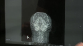 Pets and Pickers S03E02 1080p WEBRip x264-BAE EZTV