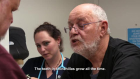 Pets and Pickers S03E03 XviD-AFG EZTV