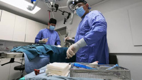 Pets and Pickers S03E04 XviD-AFG EZTV