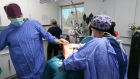 Pets and Pickers S03E05 1080p WEBRip x264-BAE EZTV