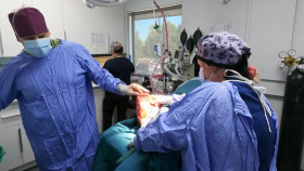 Pets and Pickers S03E05 720p WEBRip x264-BAE EZTV