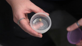 Pets and Pickers S03E07 1080p WEBRip x264-BAE EZTV