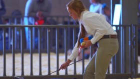 Pig Royalty S01E06 Nuggets Dilemma 720p WEB h264-B2B EZTV