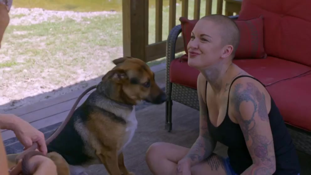 Pit Bulls and Parolees S14E07 Sisters in Rescue WEB x264-CAFFEiNE EZTV. 