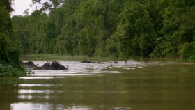 Planet Weird S01E06 1080p WEB h264-EDITH EZTV