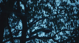 Poacher S01E02 WEBRip x264-XEN0N EZTV