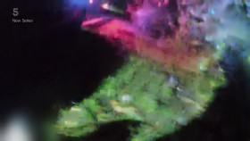 Police Interceptors S23E05 1080p HDTV H264-DARKFLiX EZTV