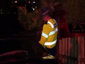 Police Ten 7 S28E02 480p x264-mSD EZTV