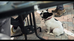 Polo 2024 S01E02 Focus 1080p NF WEB-DL DDP5 1 Atmos H 264-FLUX EZTV