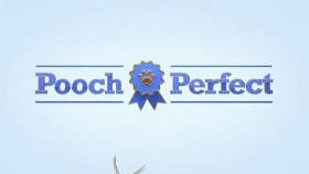 Pooch Perfect US S01E01 XviD-AFG EZTV
