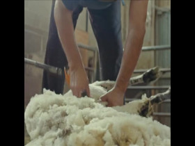 POV S37E05 Fauna 480p x264-mSD EZTV