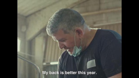 POV S37E05 Fauna XviD-AFG EZTV