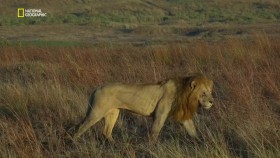 Predator Bloodlines S01E02 720p WEB H264-CBFM EZTV