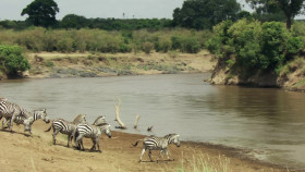 Predator Fail S01E01 The Hunting Game 1080p DSNP WEB-DL DD 5 1 H 264-NTb EZTV