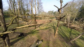 Predator Pets S01E02 1080p AMZN WEB-DL DD 2 0 H 264-playWEB EZTV