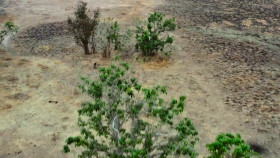 Predators 2022 S01 1080p NOW WEBRip DDP5 1 x264-NTb EZTV