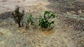 Predators 2022 S01E05 INTERNAL XviD-AFG EZTV