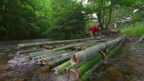 Primal Survivor S05E01 Jungle Ambush 720p HEVC x265-MeGusta EZTV