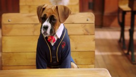 Pup Academy S02E03 1080p WEB H264-STRONTiUM EZTV