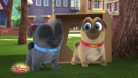 Puppy Dog Pals S03E15 XviD-AFG EZTV