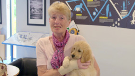 Puppy School for Guide Dogs S01E04 1080p HDTV H264-DARKFLiX EZTV