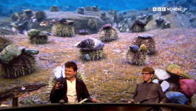 QI S21E14 1080p WEB h264-Ginnungagap EZTV