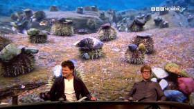 QI S21E14 XviD-AFG EZTV