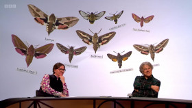 QI XL S22E02 Vocal 720p iP WEB-DL AAC2 0 HFR H 264-RAWR EZTV