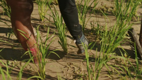 Race Across the World S04E06 1080p HEVC x265-MeGusta EZTV