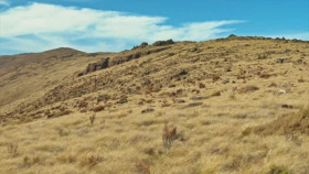 Race to Survive S02E03 XviD-AFG EZTV