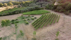 Rachael Ray In Tuscany S01E07 720p WEB H264-SKYFiRE EZTV